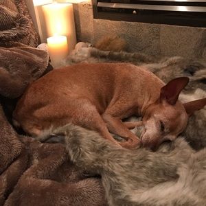 Meet your Posher, Sara